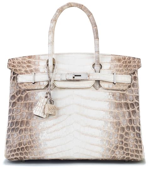 himalayan birkin hermes.